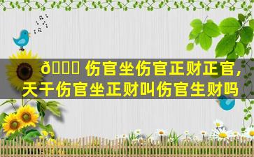🕊 伤官坐伤官正财正官,天干伤官坐正财叫伤官生财吗
